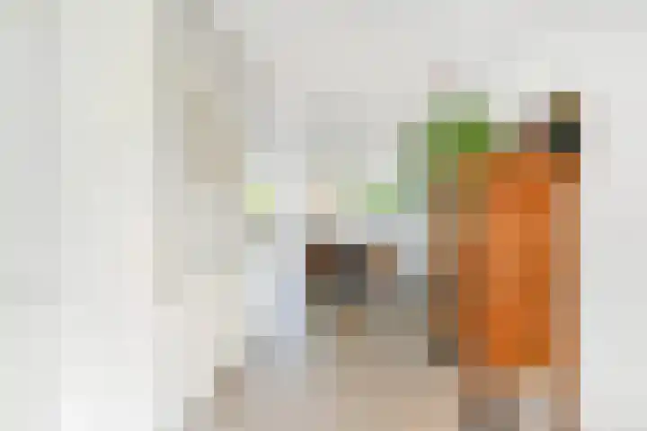 Vondelstraat 28 Bergschenhoek thumbnail 23