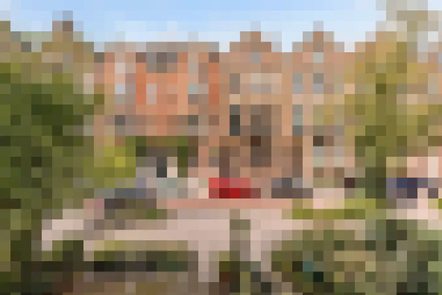 Vondelstraat 29 1 Amsterdam thumbnail 7
