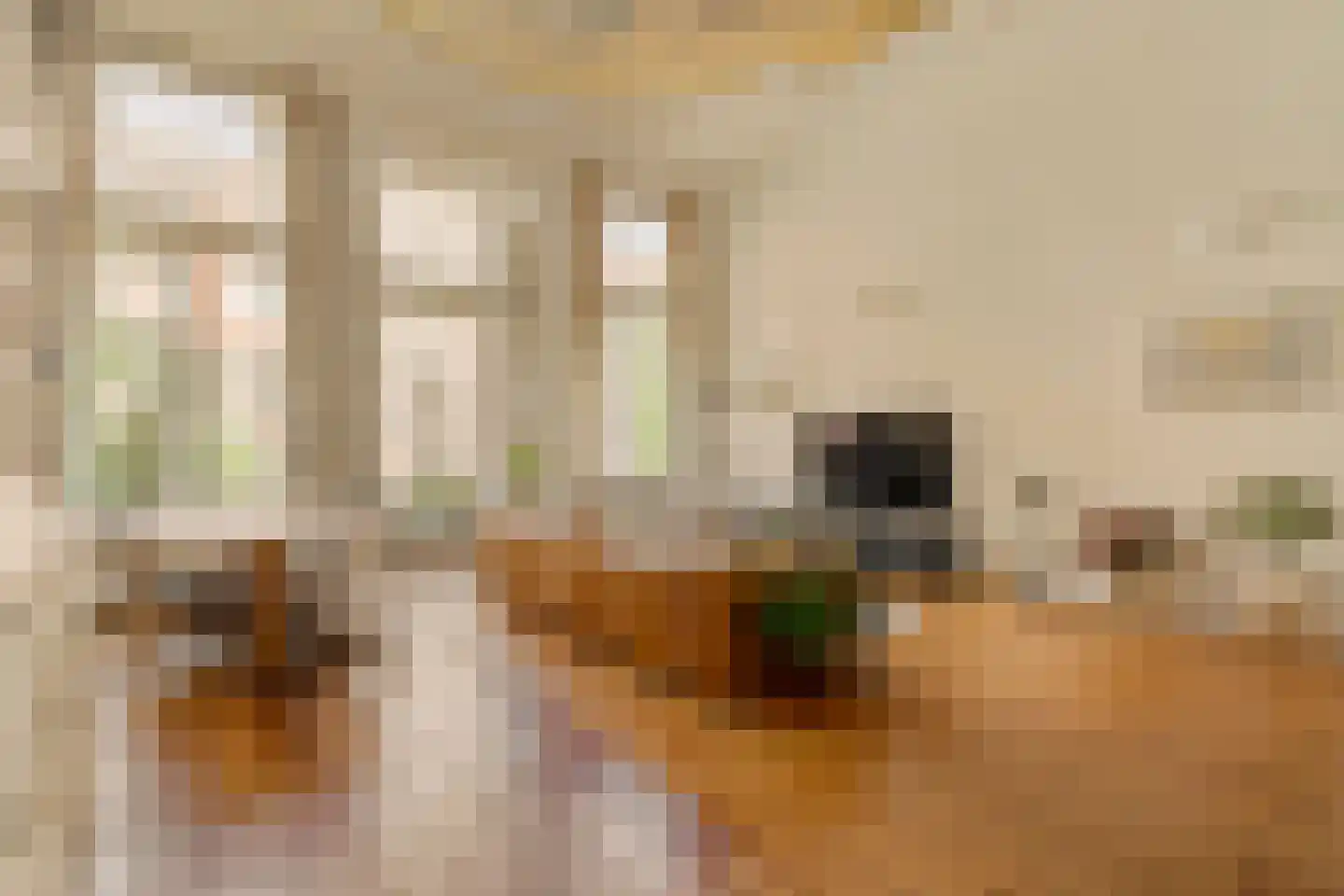 Vondelstraat 29 1 Amsterdam thumbnail 9