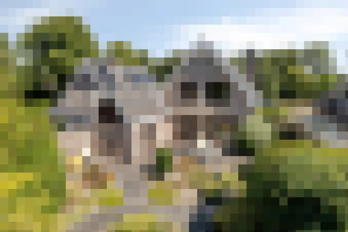Vondelstraat 29 a Castricum thumbnail 36