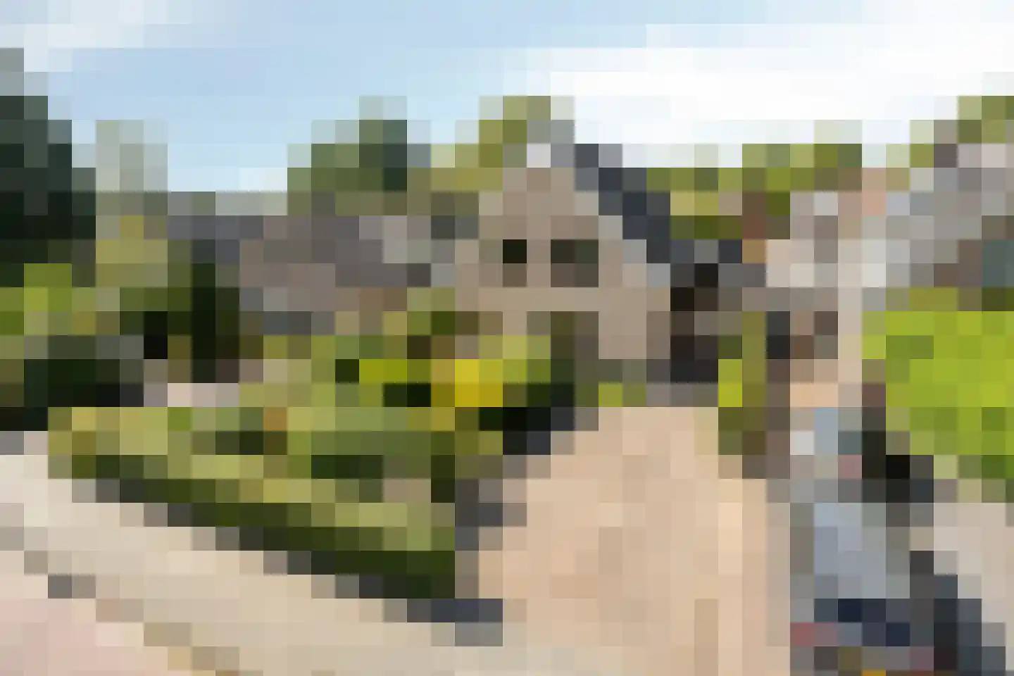 Vondelstraat 29 a Castricum thumbnail 38