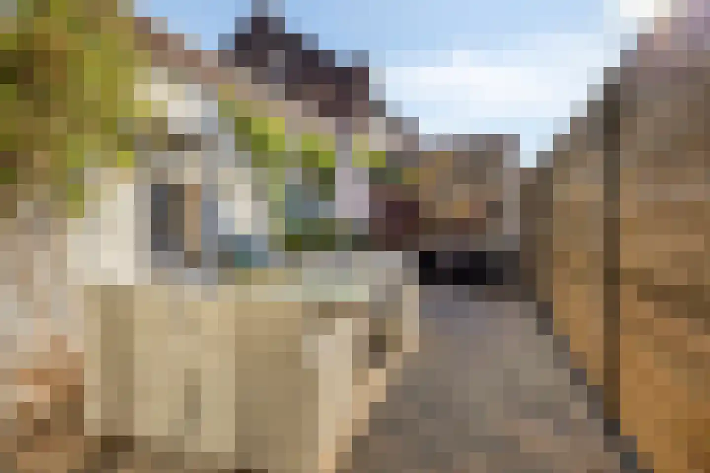 Vondelstraat 3 Brunssum thumbnail 24