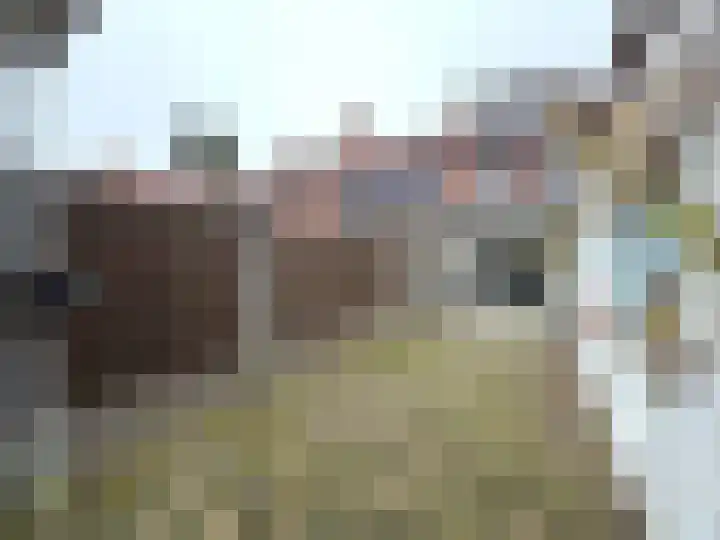 Vondelstraat 3 Brunssum thumbnail 28