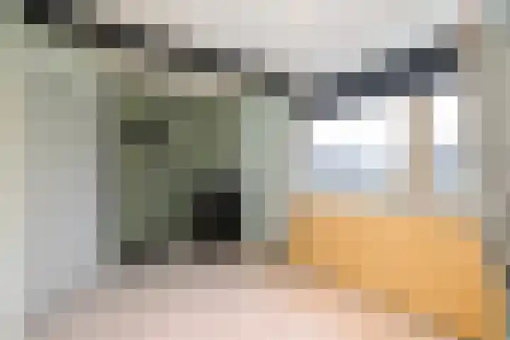 Vondelstraat 3 Hendrik-Ido-Ambacht thumbnail 14