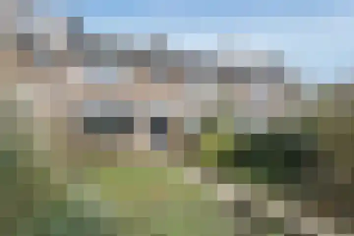 Vondelstraat 3 Hendrik-Ido-Ambacht thumbnail 8