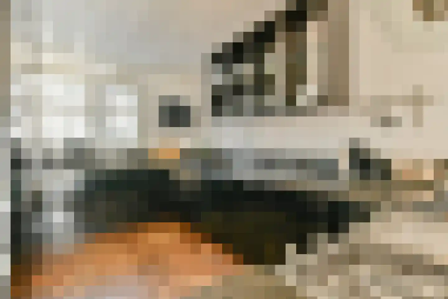 Vondelstraat 3 Ouderkerk aan de Amstel thumbnail 13