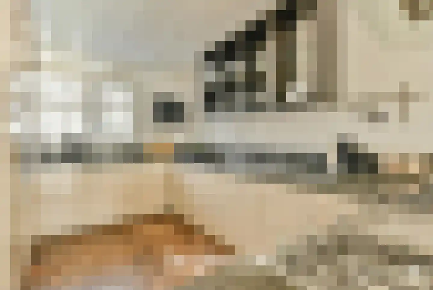 Vondelstraat 3 Ouderkerk aan de Amstel thumbnail 16