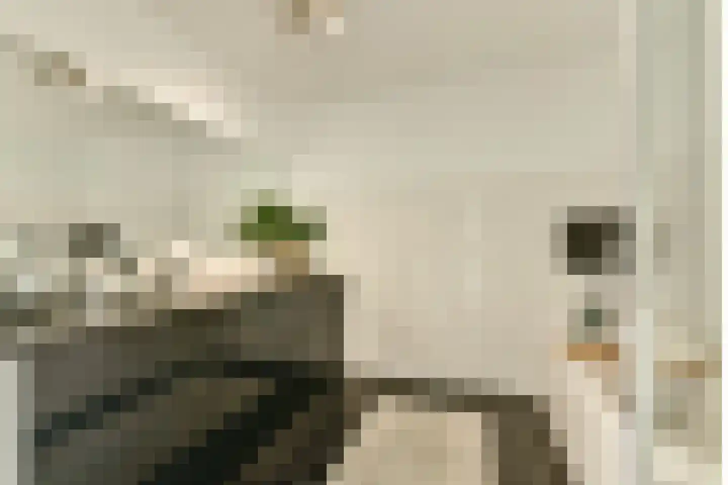 Vondelstraat 3 Ouderkerk aan de Amstel thumbnail 30