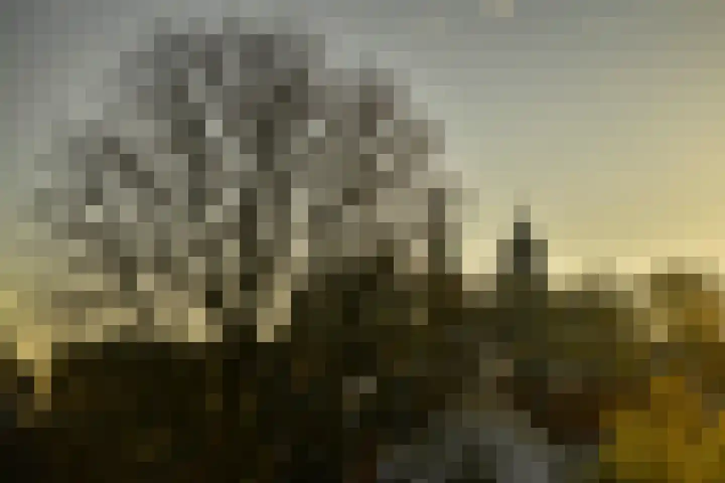 Vondelstraat 3 Ouderkerk aan de Amstel thumbnail 42