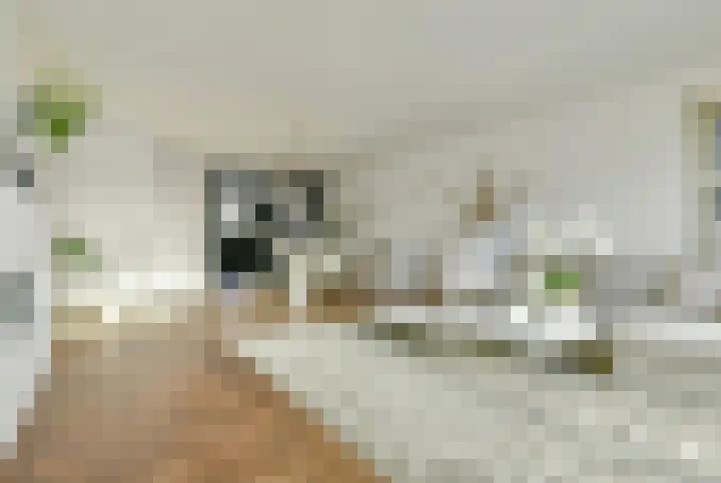 Vondelstraat 3 Ouderkerk aan de Amstel thumbnail 7