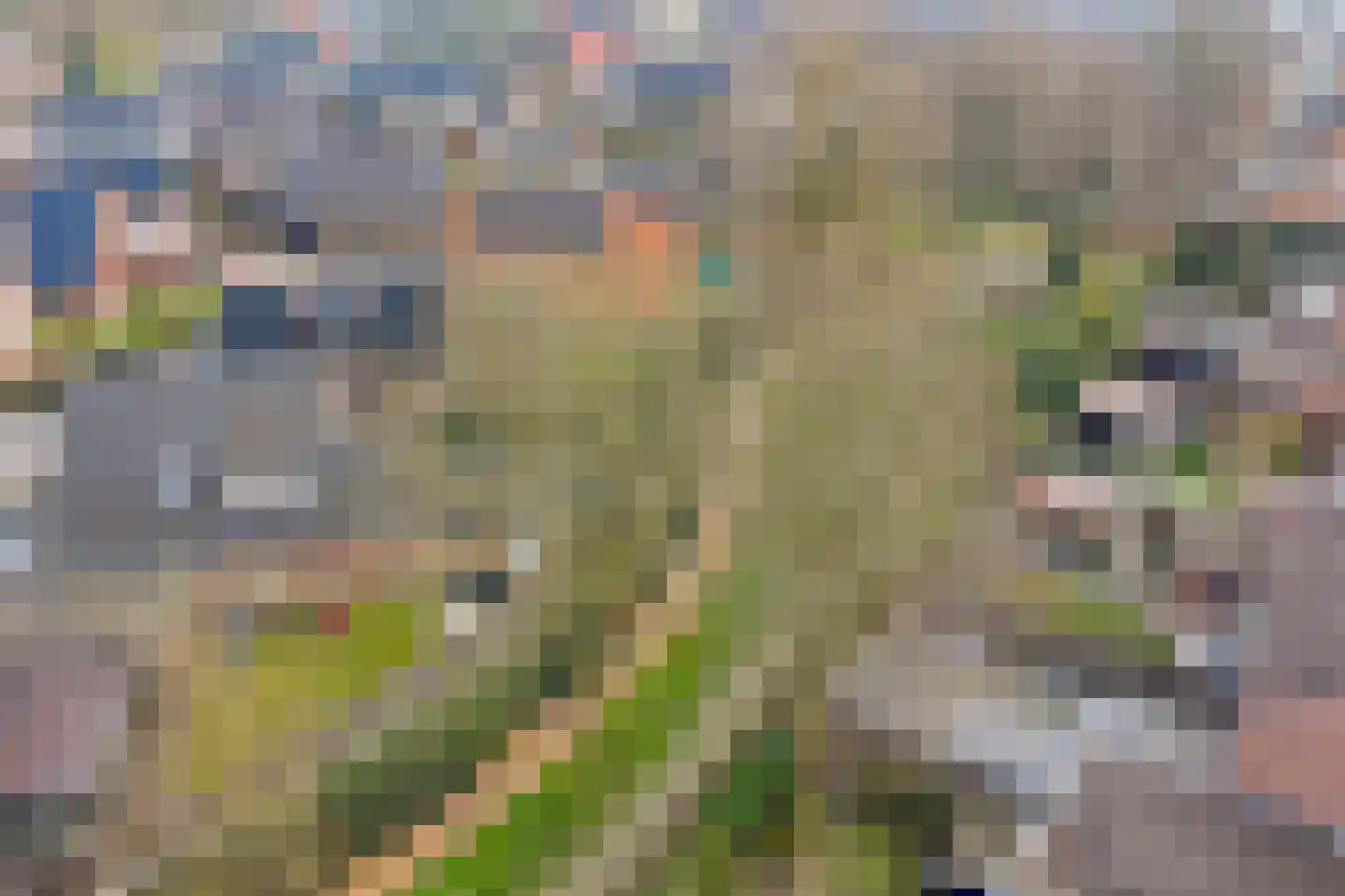 Vondelstraat 3 Tubbergen thumbnail 21