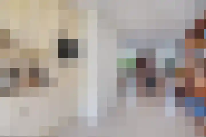 Vondelstraat 34 Bergschenhoek thumbnail 10