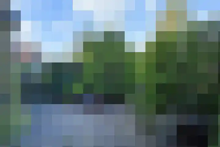 Vondelstraat 34 Bergschenhoek thumbnail 13
