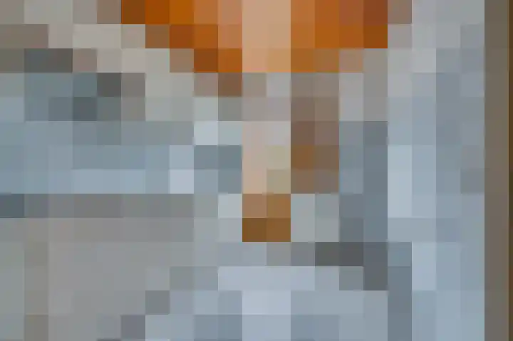 Vondelstraat 34 Venlo thumbnail 5