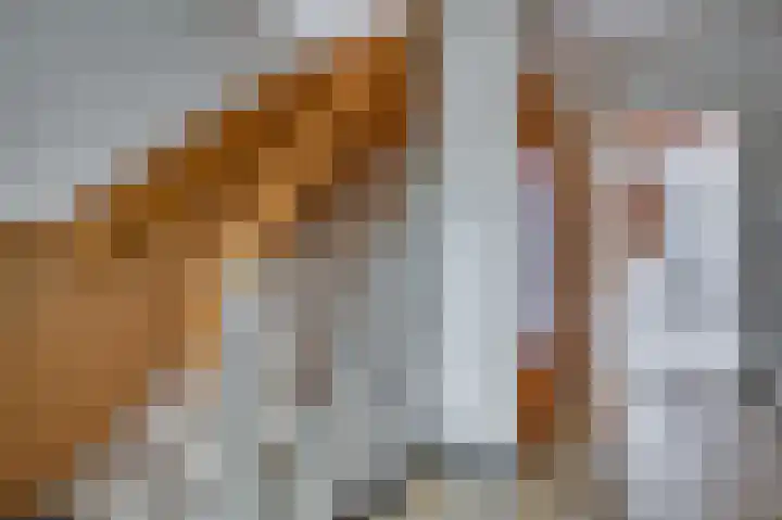 Vondelstraat 34 Venlo thumbnail 7