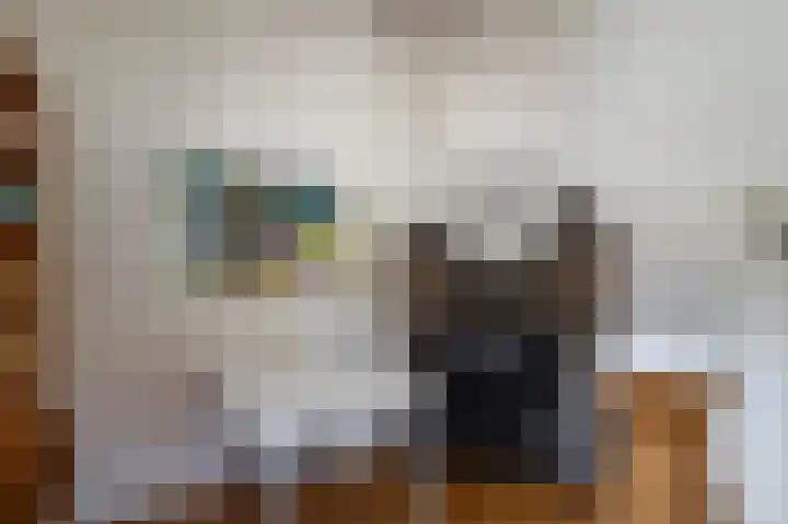Vondelstraat 4 Beek thumbnail 14