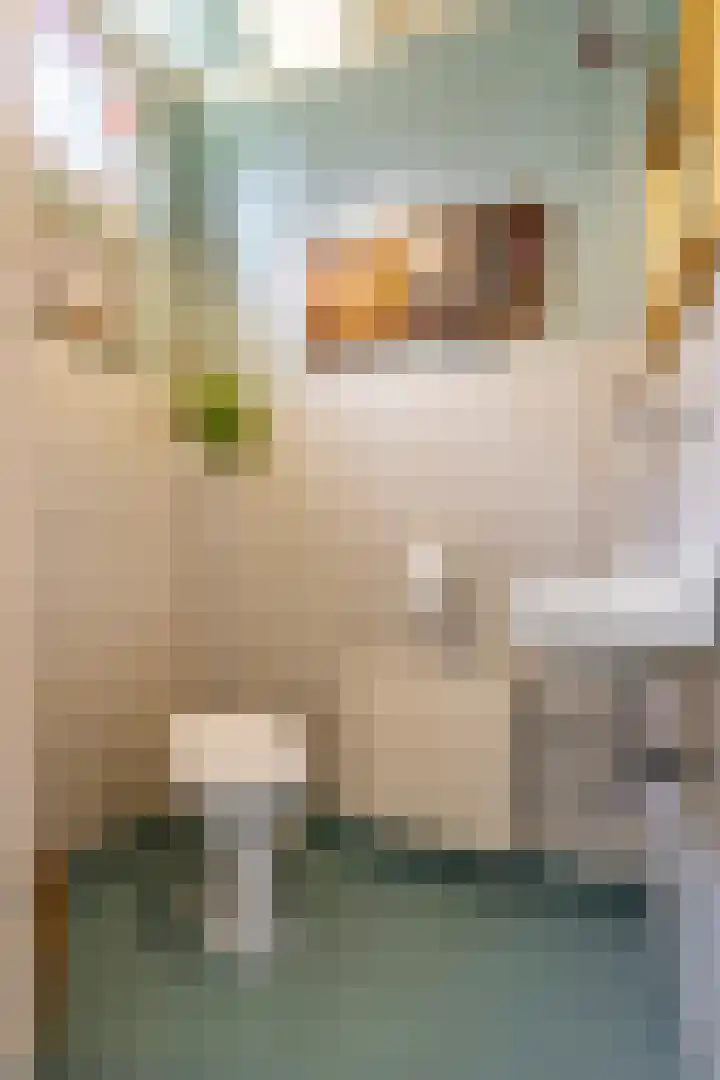 Vondelstraat 4 Beek thumbnail 19