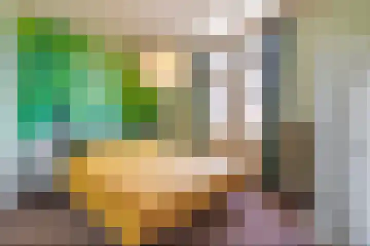 Vondelstraat 4 Beek thumbnail 22