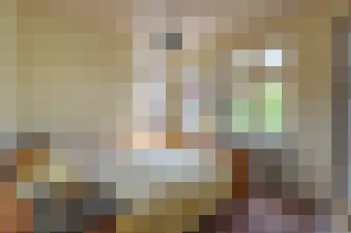 Vondelstraat 4 Beek thumbnail 23