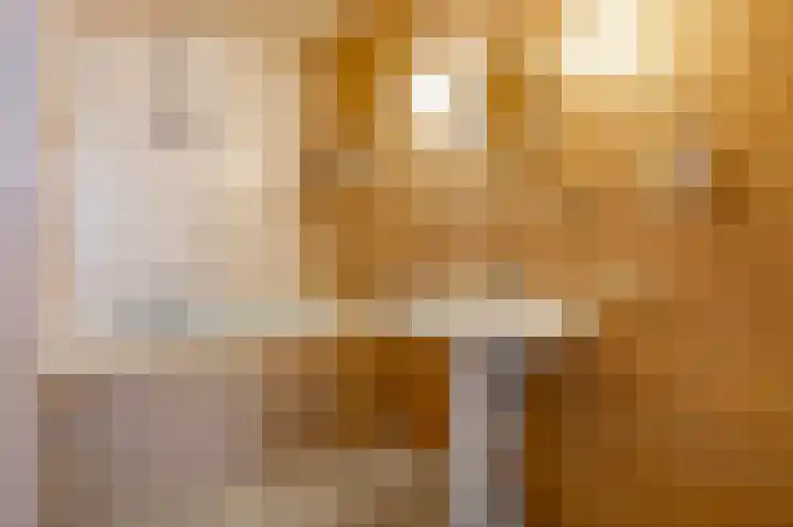 Vondelstraat 4 Beek thumbnail 27