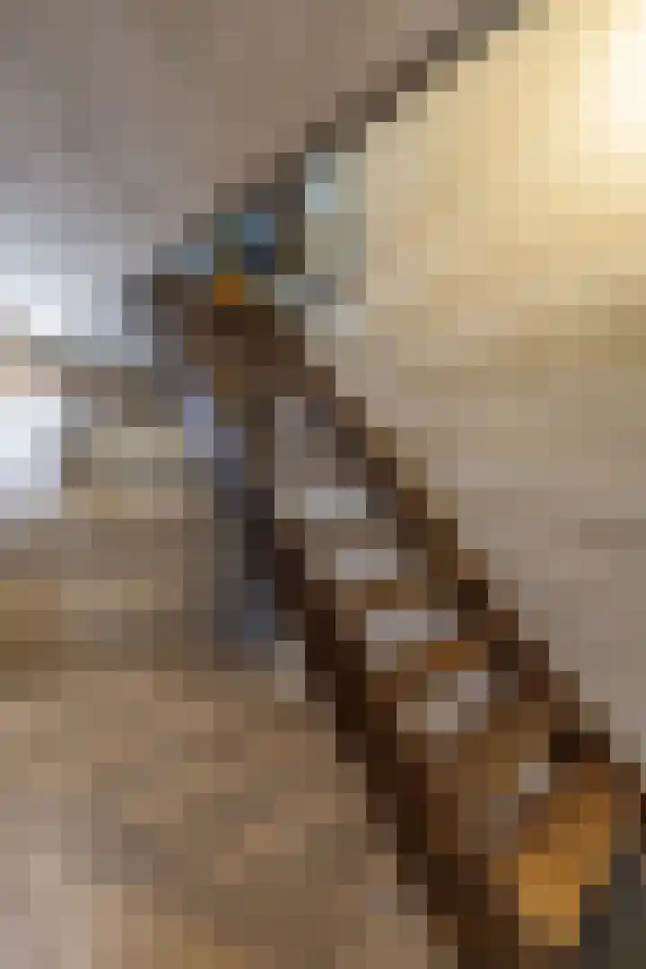 Vondelstraat 4 Beek thumbnail 35