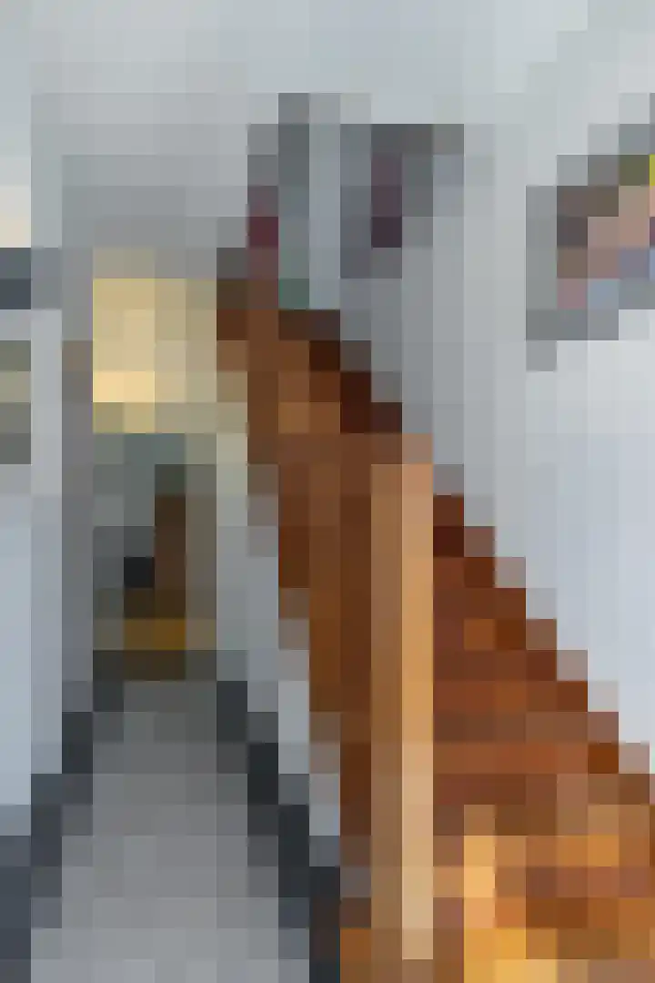Vondelstraat 4 Beek thumbnail 4
