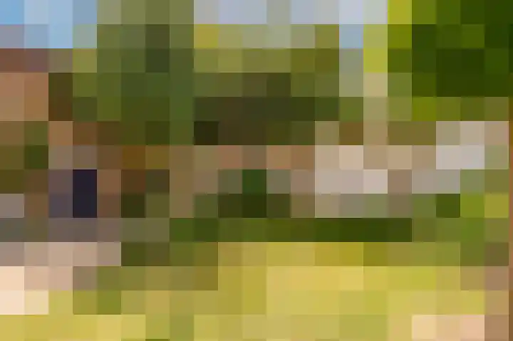 Vondelstraat 4 Beek thumbnail 41