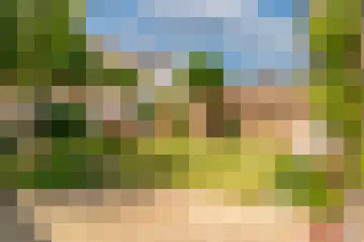Vondelstraat 4 Beek thumbnail 43