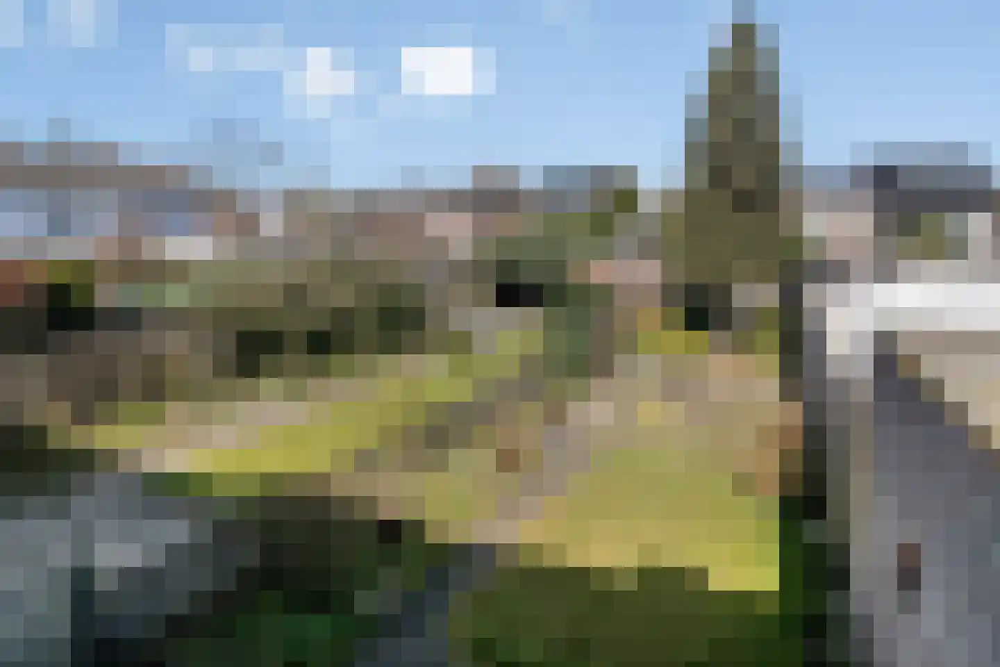 Vondelstraat 4 Rosmalen thumbnail 15