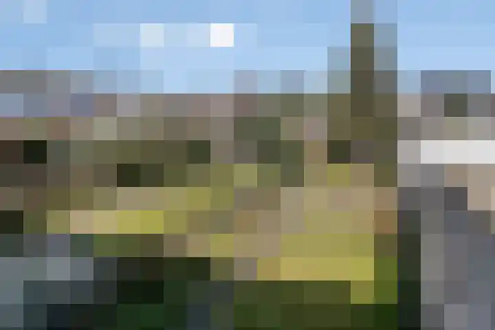 Vondelstraat 4 Rosmalen thumbnail 15