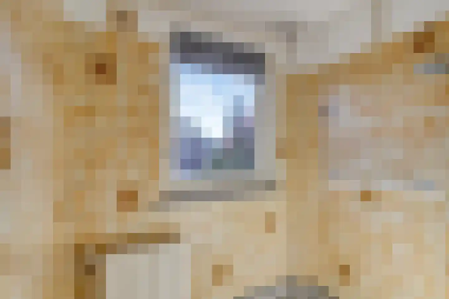 Vondelstraat 4 Rosmalen thumbnail 20