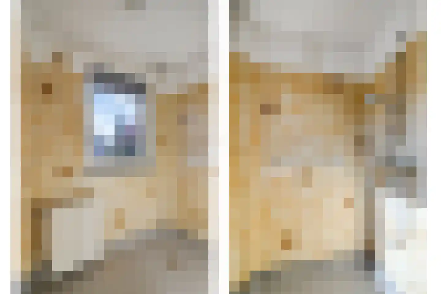 Vondelstraat 4 Rosmalen thumbnail 21