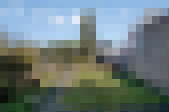 Vondelstraat 4 Rosmalen thumbnail 25