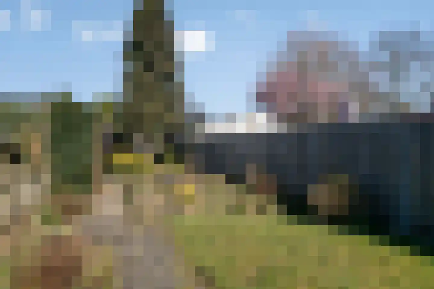 Vondelstraat 4 Rosmalen thumbnail 26