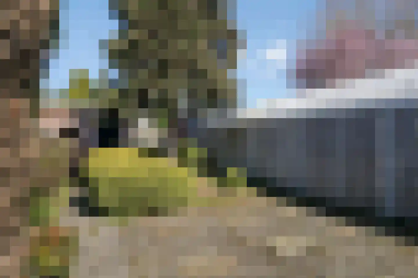 Vondelstraat 4 Rosmalen thumbnail 27