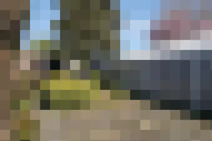 Vondelstraat 4 Rosmalen thumbnail 27