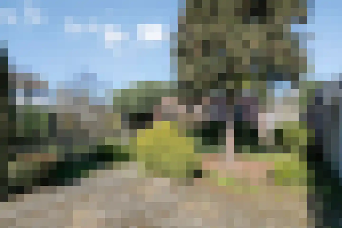 Vondelstraat 4 Rosmalen thumbnail 28