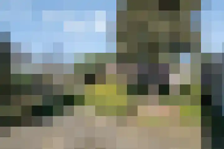 Vondelstraat 4 Rosmalen thumbnail 28