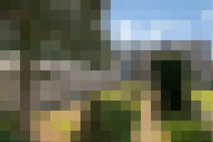 Vondelstraat 4 Rosmalen thumbnail 31