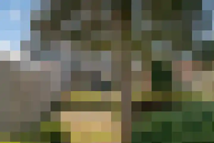 Vondelstraat 4 Rosmalen thumbnail 32