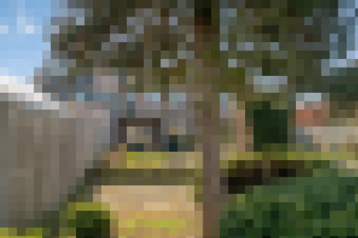 Vondelstraat 4 Rosmalen thumbnail 32