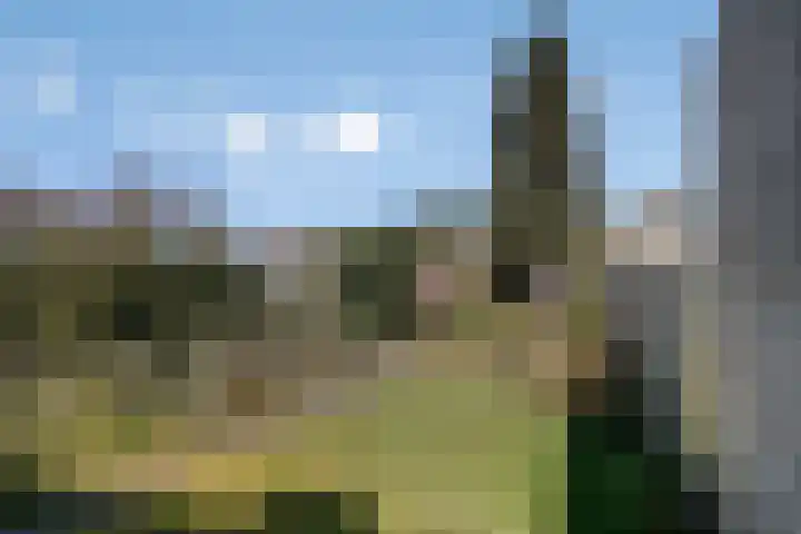 Vondelstraat 4 Rosmalen thumbnail 34