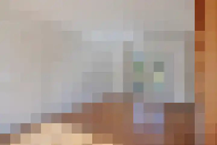 Vondelstraat 4 Rosmalen thumbnail 5