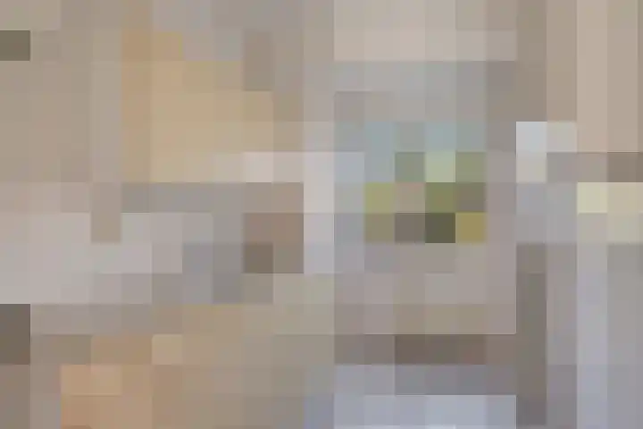 Vondelstraat 4 Rosmalen thumbnail 6