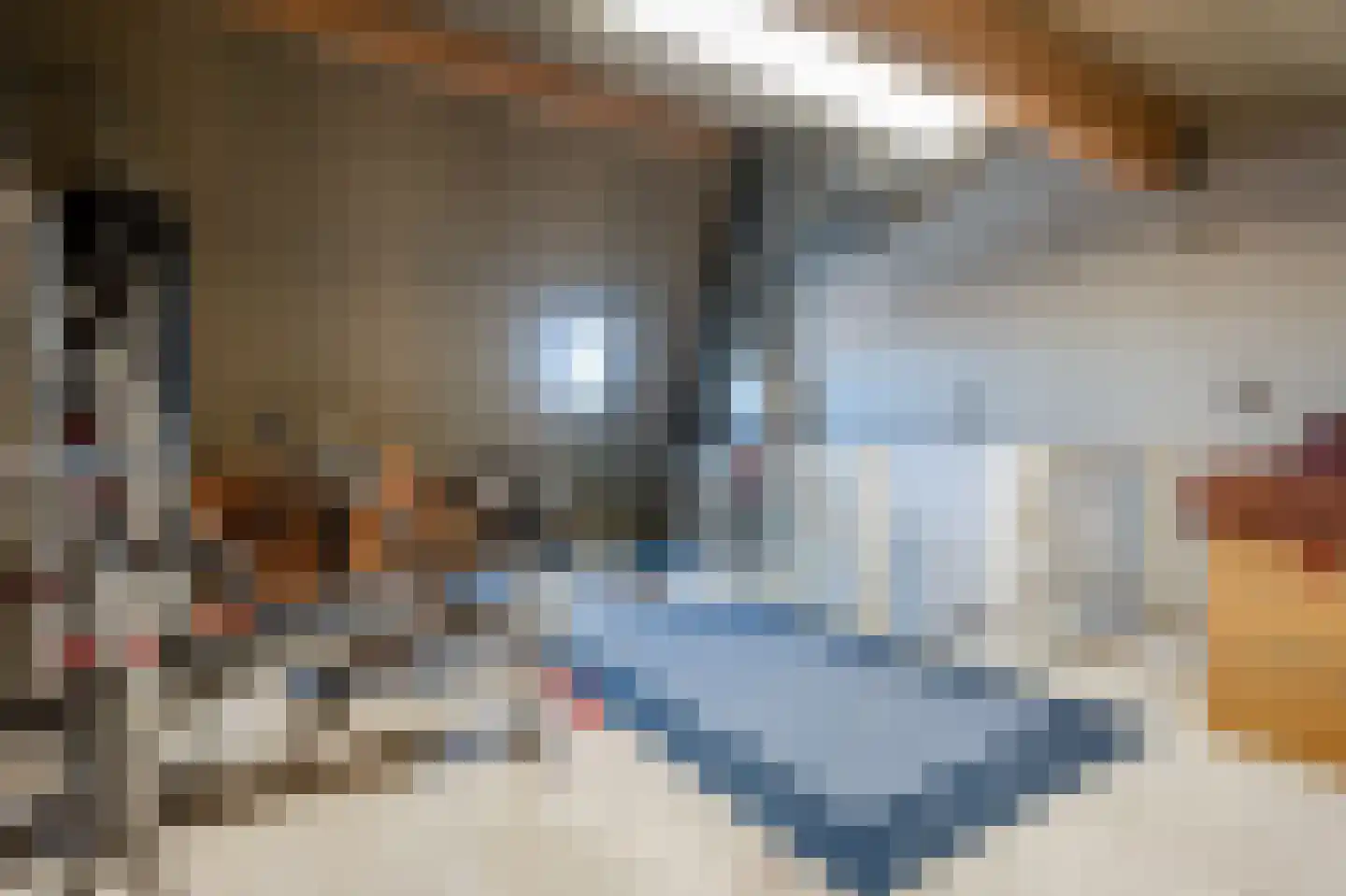 Vondelstraat 40 Steenwijk thumbnail 22