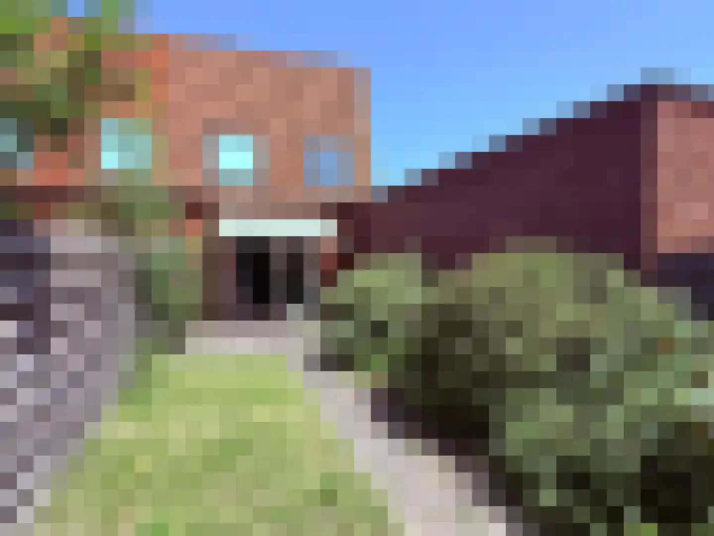 Vondelstraat 40 Steenwijk thumbnail 22