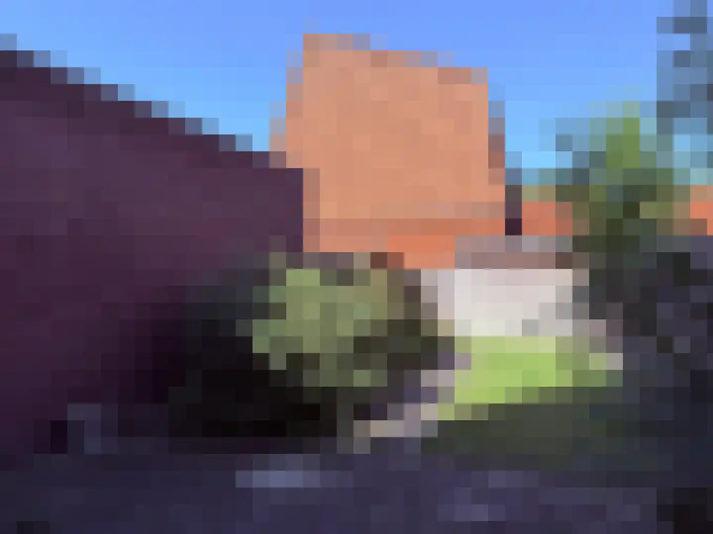 Vondelstraat 40 Steenwijk thumbnail 23