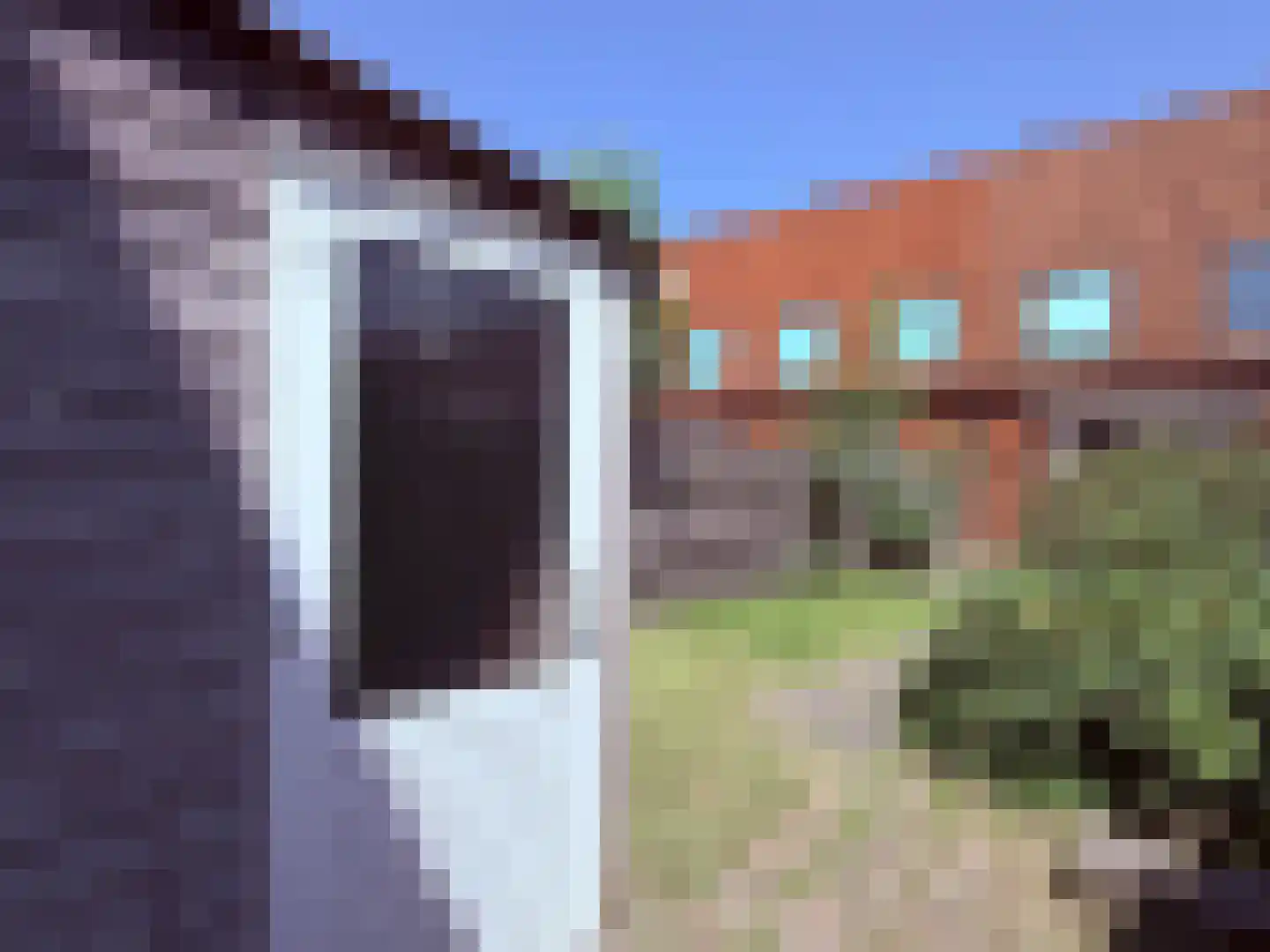 Vondelstraat 40 Steenwijk thumbnail 25