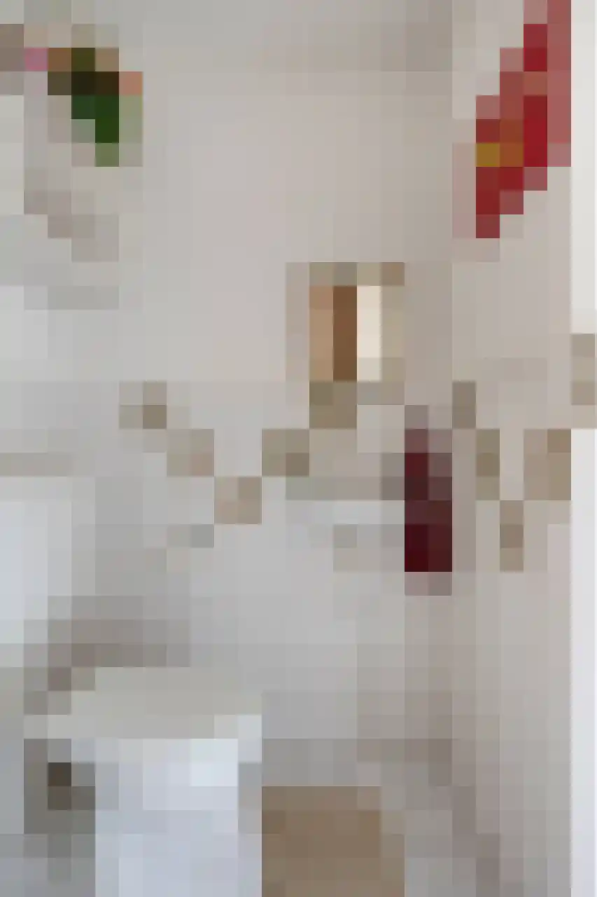 Vondelstraat 42 Almere thumbnail 17