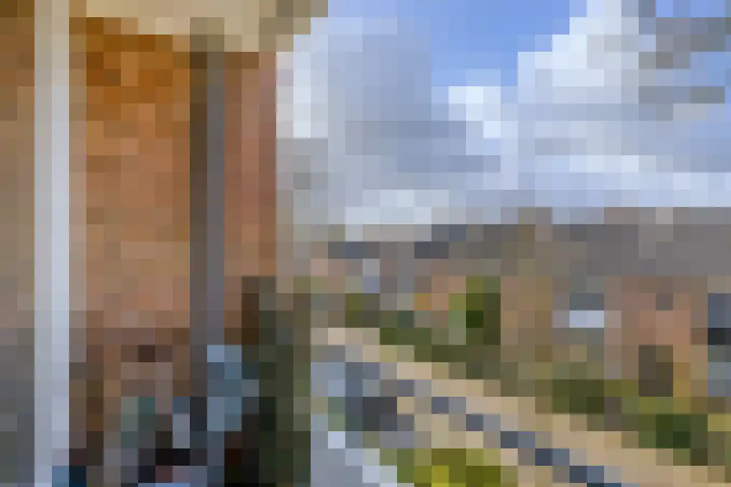 Vondelstraat 42 Zoetermeer thumbnail 22